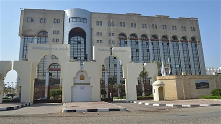 97% من الطلب المحلي.. الاستعلامات تكشف تطور إنتاج الدواجن في مصر