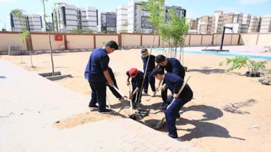 التنمية المحلية والبيئة تزرع 150 شجرة بمدرسة الكرنك في بدر