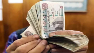 الخميس المقبل.. موعد صرف الدعم النقدي تكافل وكرامة لشهر أكتوبر