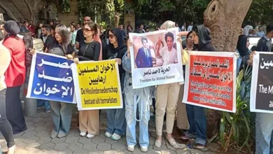 السفارة المصرية خط أحمر.. وقفة أمام سفارة هولندا بالقاهرة- فيديو