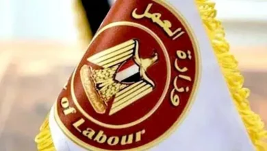 العمل تعلن فرص عمل جديدة في 11 محافظة