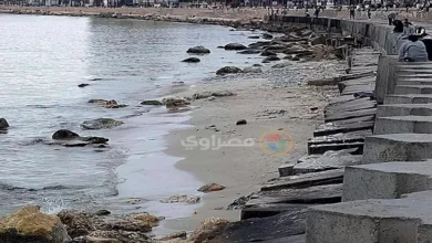 القومي لعلوم البحار يحسم الجدل حول انحسار مياه البحر بالإسكندرية - صور