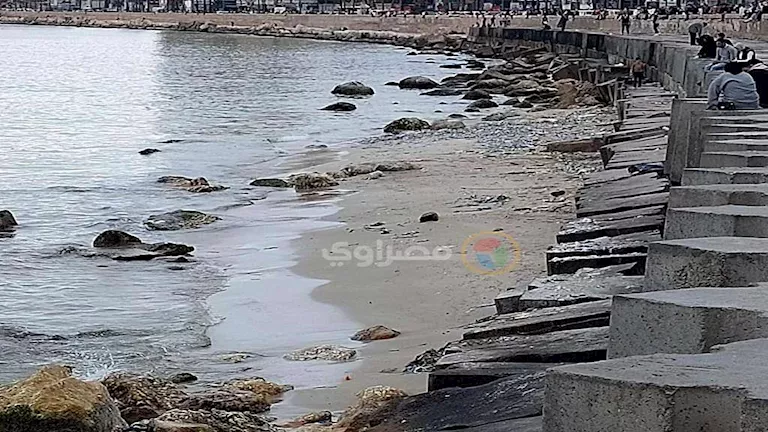 القومي لعلوم البحار يحسم الجدل حول انحسار مياه البحر بالإسكندرية - صور | ضي النهار القومي لعلوم البحار يحسم الجدل حول انحسار مياه البحر بالإسكندرية - صور