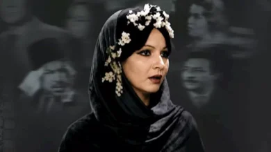 حكايات أزمات البوسترات في مهرجان القاهرة السينمائي