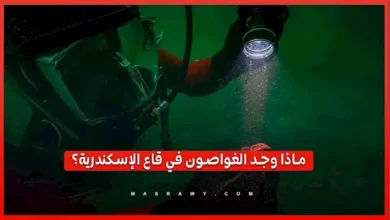 خاتم لفنار الإسكندرية وموانئ غارقة.. أبرز الاكتشافات الأثرية تحت مياه