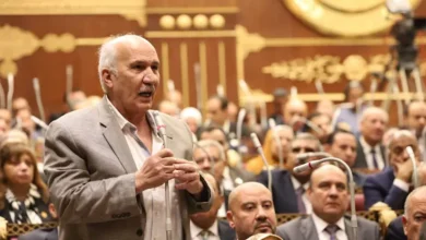 سيد عبدالعال يدعو لفرص عمل جديدة وتمويل مستدام لبرامج الحماية الاجتماع