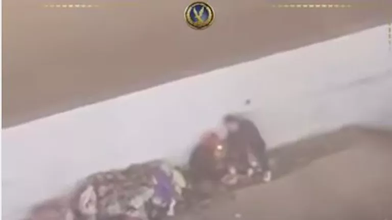 ضبط شخص وسيدة بعد تداول فيديو مثير للجدل بالقاهرة | ضي النهار ضبط شخص وسيدة بعد تداول فيديو مثير للجدل بالقاهرة