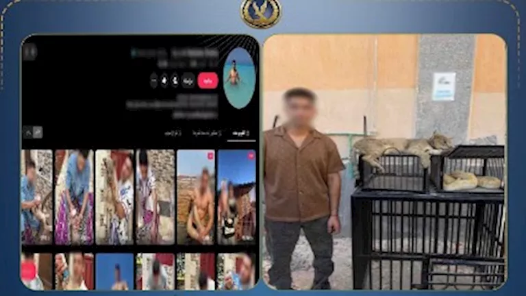ضبط صانع محتوى يربي قطا بريا وثعبانين خطرين أعلى منزله في كفر الشيخ | ضي النهار ضبط صانع محتوى يربي قطا بريا وثعبانين خطرين أعلى منزله في كفر الشيخ