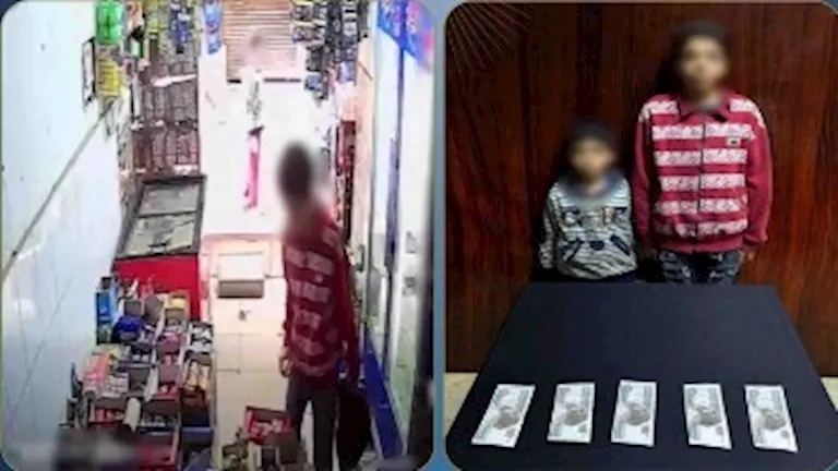 ضبط طالبين سرقا حقيبة سيدة مسنة داخل محلها في دار السلام