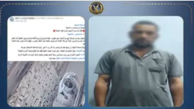 ضبط عاطل قطع الكهرباء وأهان زوجة شقيقه بسبب الميراث بالدقهلية