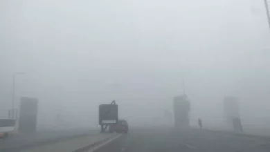 طقس السبت.. أمطار على السواحل الشمالية وشبورة على الطرق