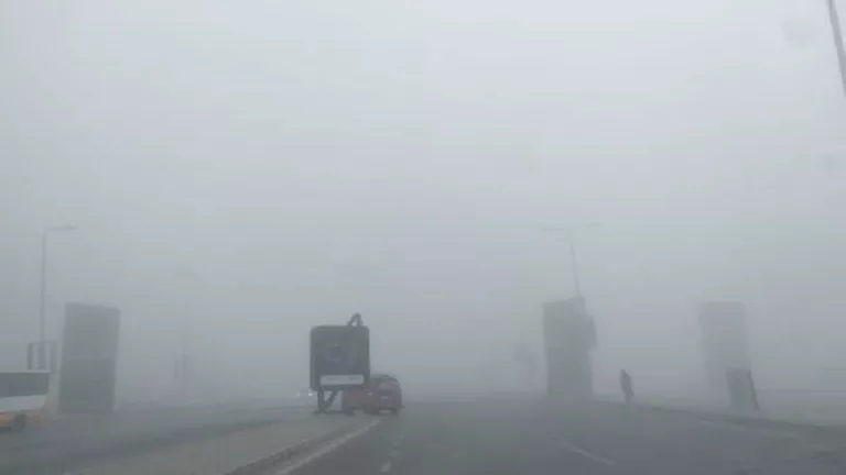 طقس السبت.. أمطار على السواحل الشمالية وشبورة على الطرق