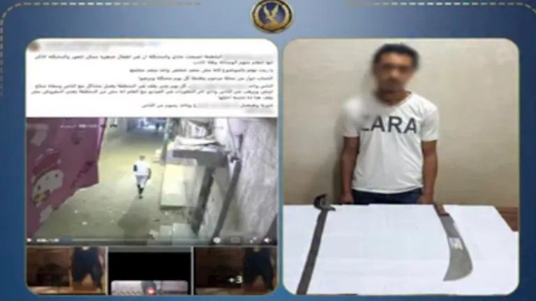 "فبرك سلاحا ناريا".. ضبط عاطل استعرض أسلحة بيضاء على السوشيال
