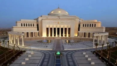 فوزي: البرلمان سيتحقق من دستورية أي شروط جديدة للترشح