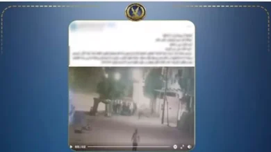 لافات عائلية وراء الاعتداء على سيدة في الشارع بكفر الزيات | ضي النهار لافات عائلية وراء الاعتداء على سيدة في الشارع بكفر الزيات
