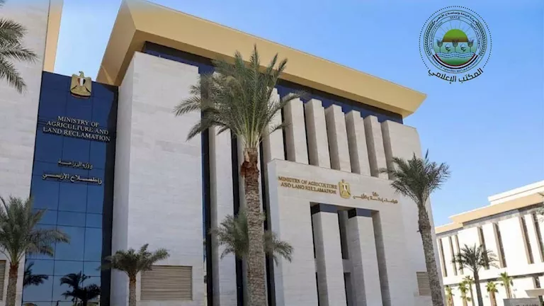 من مدريد إلى سيناء.. تحركات الزراعة لدعم المزارعين وتعزيز الأمن الغذائ