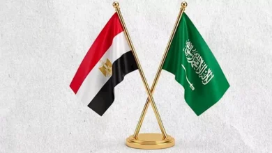 مواقف الأطراف اليمنية من الدعم المصري للسعودية: ترحيب وتحذير