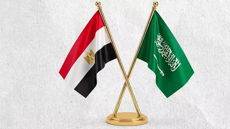 مواقف الأطراف اليمنية من الدعم المصري للسعودية: ترحيب وتحذير | ضي النهار مواقف الأطراف اليمنية من الدعم المصري للسعودية: ترحيب وتحذير